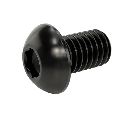 Black Stainless Steel License Plate Screws (Set of 2)